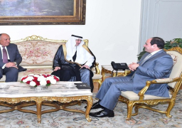 الرئيس يؤكد حرص مصر على مساندة منظمة التعاون الإسلامي