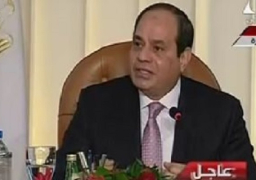 السيسي: لا يمكن الإفصاح عن بعض تفاصيل مشروع الضبعة النووي