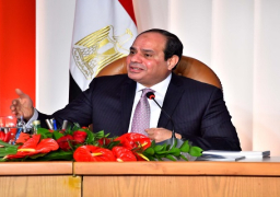 السيسي: لو لم يتحمل المصريون قراراتنا كنا سنجري انتخابات مبكرة
