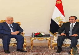 السيسي يؤكد موقف مصر الثابت من القضية الفلسطينية