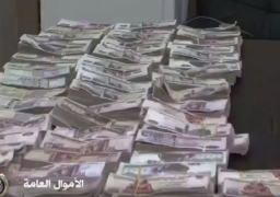 بالفيديو .. جهود الأموال العامة خلال عام