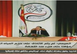 شكري: نقيم علاقاتنا الخارجية على أسس مستمدة من الحضارة والديانة