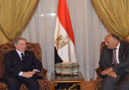 شكري يستقبل الرئيس اللبناني الأسبق أمين الجميل