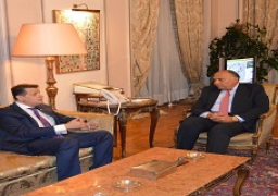 شكري يستقبل رئيس لجنة العلاقات الخارجية بمجلس النواب