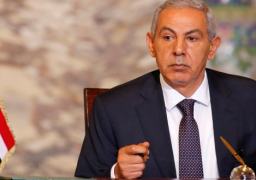 طارق قابيل يبحث مع وفد الشركات البولندية فرص الاستثمار في مصر