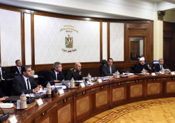 قرارات مجلس الوزراء الصادرة اليوم