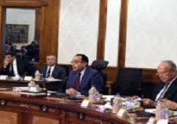 قرارات هامة لمجلس الوزراء