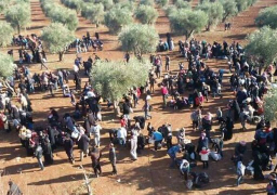 الأمم المتحدة : نزوح 126 ألف نسمة من عفرين منذ انطلاق عملية “غصن الزيتون” التركية