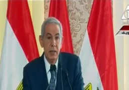 وزير الصناعة: الصعيد يستحوذ على 37% من المناطق الصناعية باستثمارات 75 مليار جنيه