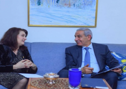 بالصور .. قابيل يبحث مع وزيرة التجارة السويدية مستقبل التعاون الاقتصادي بين مصر والسويد