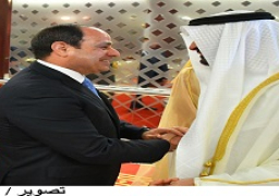 محادثات السيسي في الامارات تناولت تعزيز العلاقات الثنائية