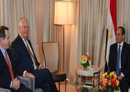السيسي يبحث غدا مع وزير الخارجية الأمريكى عملية السلام ومواجهة الإرهاب