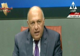 شكرى: نرحب بالرقابة على الانتخابات الرئاسية من الهيئات الدولية