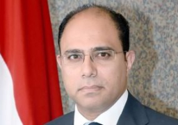 وزارة الخارجية تحث المواطنين بالخارج على المشاركة فى الانتخابات الرئاسية