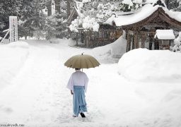 مصرع 15 وإصابة 222 آخرين بسبب الثلوج باليابان