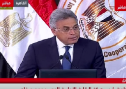 رئيس الرقابة الإدارية : خطوات الإصلاح الاقتصادى دخلت مرحلتها الحاسمة