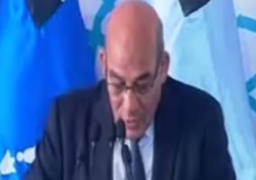 وزير الزراعة يؤكد ان الوزارة تستهدف مليونى فدان قمح بمنظومة التقاوى الجديدة خلال عامين