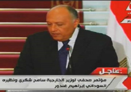 بالفيديو.. “شكري”: اتفقنا مع الجانب السوداني على انعقاد الاطار الرباعي قريبا