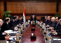 مجلس الوزراء يوافق على انشاء المجلس القومي لذوي الإعاقة