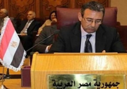 سفير مصر:تنسيق مستمر بين الرئيس السيسى وأمير الكويت