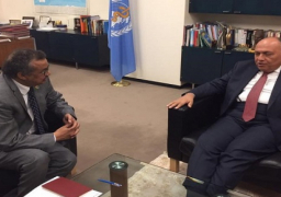 شكرى يستعرض جهود مصر لتطوير الصحة مع مدير عام منظمة الصحة العالمية