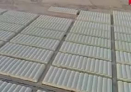 بعد قليل.. الرئيس السيسي يفتتح عددا من الصوب الزراعية بمحافظة مطروح