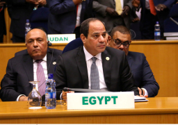 7 محاور تتصدر المنتدى الأفريقي للعلوم والتكنولوجيا برعاية السيسي