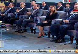 السيسي يكلف “الادارية” و”الوزراء” بمراقبة مراكز المستثمرين