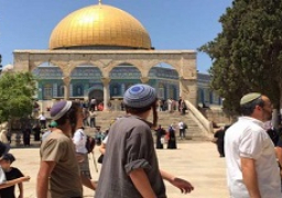 مستوطنون متطرفون يجددون اقتحامهم للأقصى من باب المغاربة