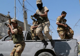 مقتل 46 حوثيا في مواجهات بالساحل الغربي لليمن