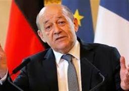 وزير الدفاع الفرنسي يدعو لوقف الغارات الجوية على سوريا