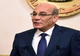 وزير الزراعة: نستهدف اقتصادا تنافسيا بحلول 2030