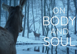 الحب أسهل بين الأيائل ينافس على الأوسكار