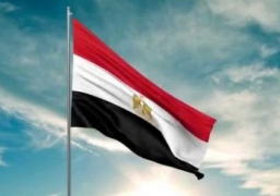 مصر تشارك اليوم في اجتماع مجموعة العمل التابعة للتحالف الدولي ضد داعش في لندن