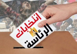 سفير مصر ببريتوريا: إنتهاء كافة الاستعدادت للتصويت في الانتخابات