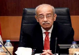إسماعيل يؤكد أهمية الارتقاء بأطر التعاون مع لبنان في مجالات الاقتصاد والسياحة والثقافة