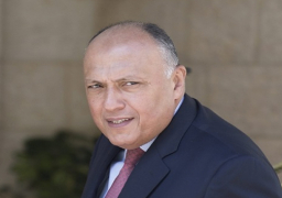 شكري يتوجه اليوم إلى نيودلهي لرئاسة أعمال اللجنة المشتركة المصرية الهندية