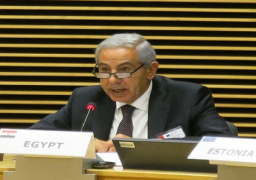 إحكام الرقابة على المصانع يعزز من تنافسية المنتج المصري محليا وعالميا