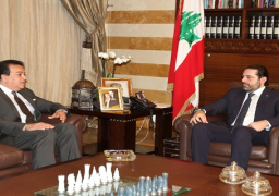 الحريرى يبحث مع وزير التعليم العالى تعزيز التعاون العلمى