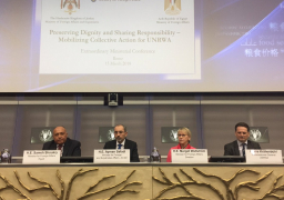 وزير الخارجية يؤكد ان مصر مستمرة في القيام بواجبها إزاء القضية الفلسطينية