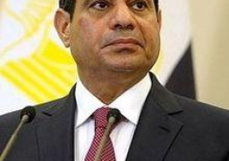 السيسي يوافق على مذكرة تفاهم مع الصين لمواجهة التغيرات المناخية