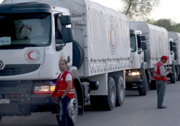 13 شاحنة مساعدات تدخل الغوطة