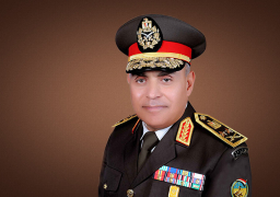 وزير الدفاع ورئيس الأركان يتفقدان عددا من اللجان الانتخابية بمحافظتي القليوبية والاسماعيلية