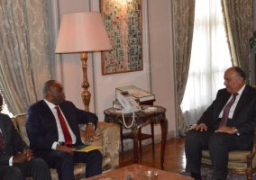 سامح شكرى يلتقى رئيس البنك الأفريقى للتصدير والاستيراد