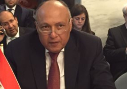 سامح شكرى يبدأ نشاطة بنيودلهى بلقاء منتدى أعمال الهند للاستثمار بمصر