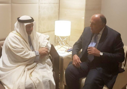 شكري يعقد مباحثات ثنائية مع نظيره الإماراتي