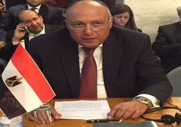 شكري يؤكد أهمية دعم المؤسسات الشرعية في لبنان