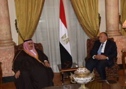شكري يؤكد لنظيره البحريني دعم مصر لأمن واستقرار البحرين