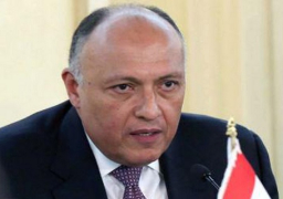 شكري يطالب بمحاسبة المتسبب في وفاة “مريم” ببريطانيا