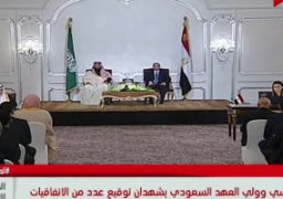توقيع اتفاقية لإنشاء صندوق مصرى سعودى للاستثمار بحضور السيسى وولى العهد